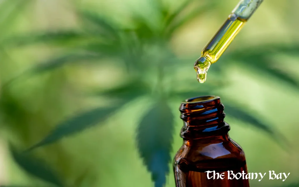understanding CBD