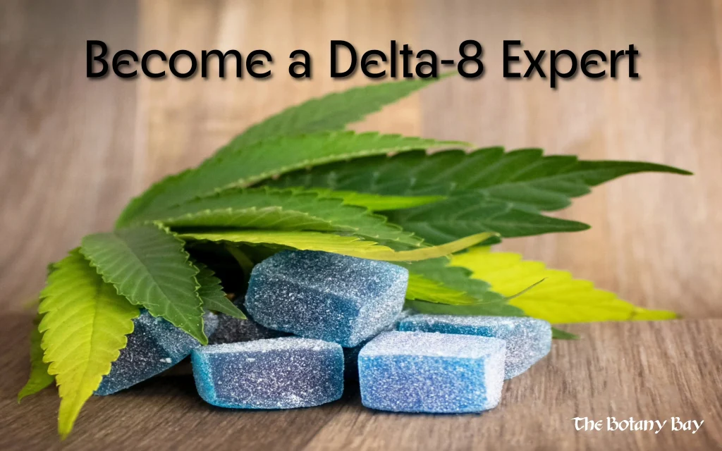 Delta 8 Hero - hemp leaves and delta gummies