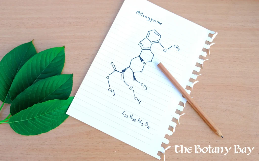 mitragynine, alkaloid in kratom