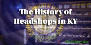 The History of Headshops in KY