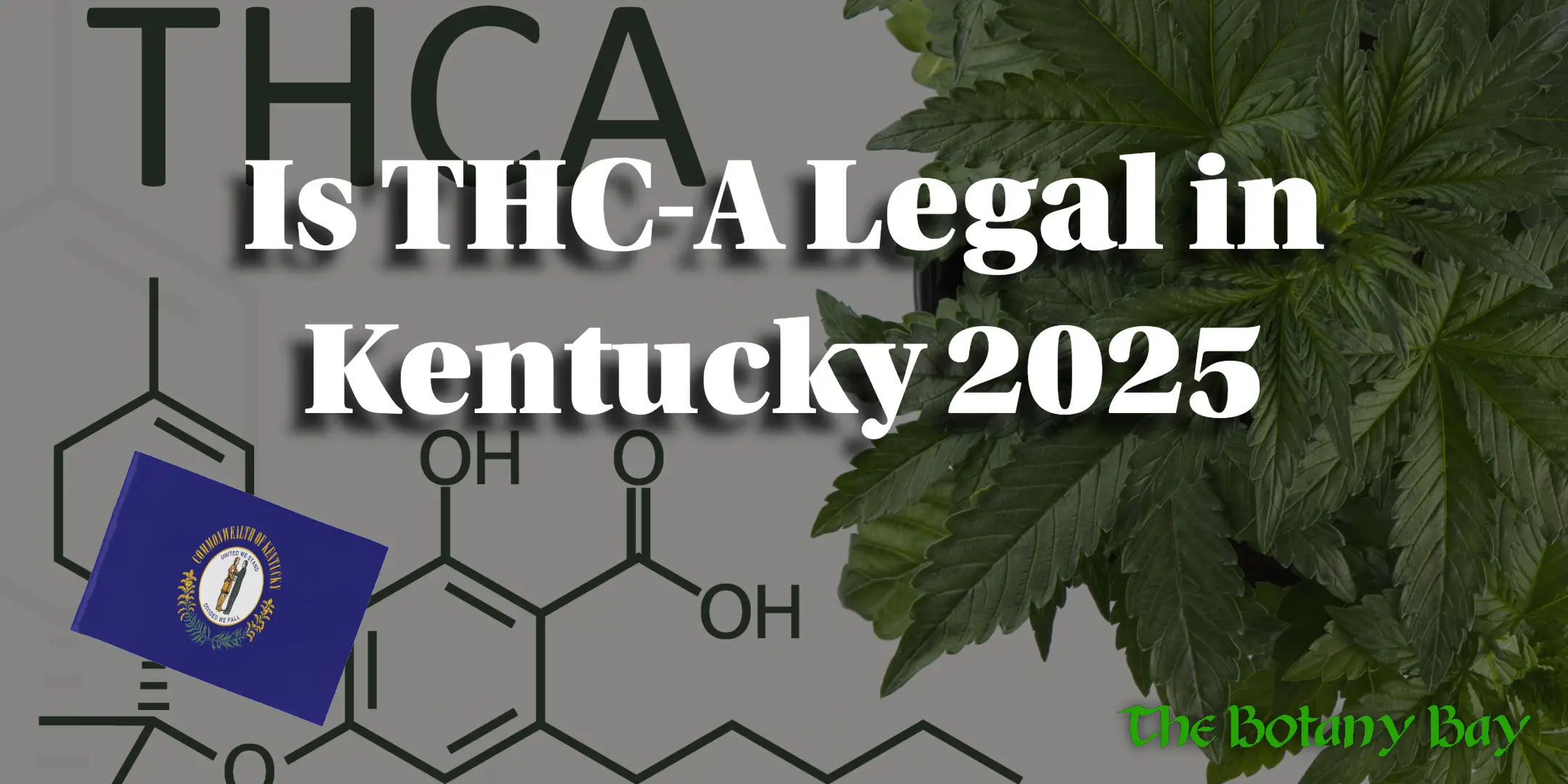 THCa Legality in Kentucky 2025
