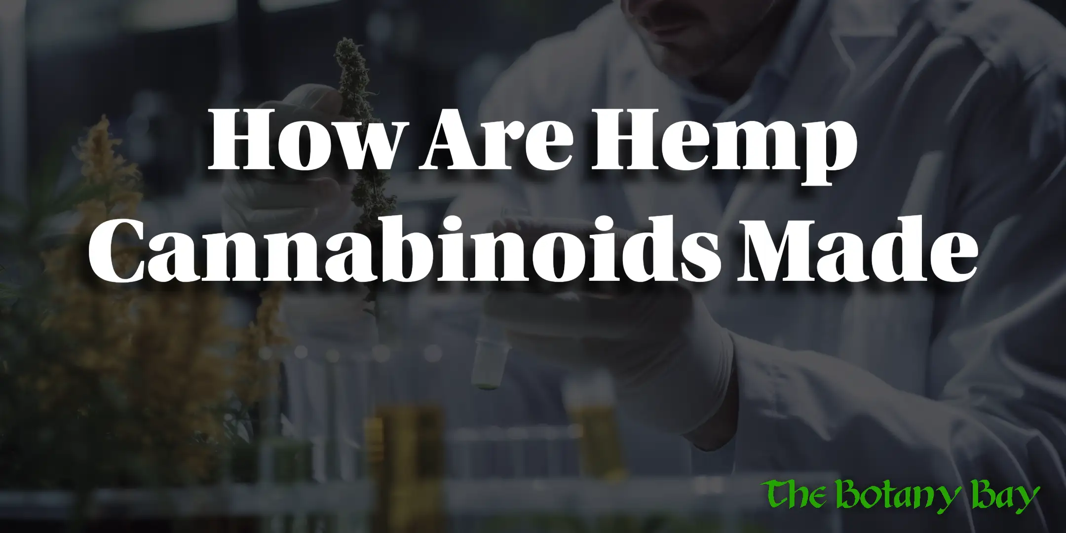 How Cannabinoids are made
